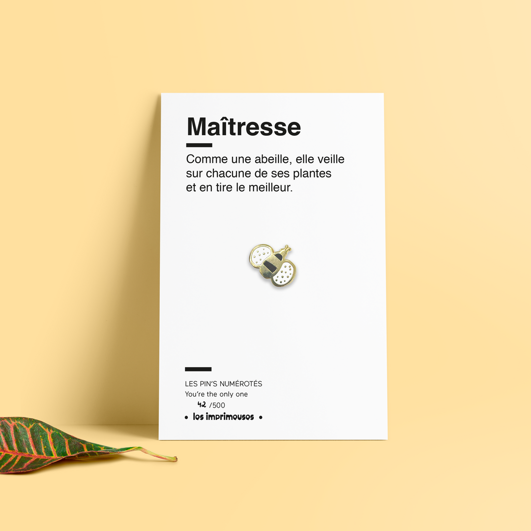Pin's - Abeille - Maîtresse / Maître - Spécial fin d'année scolaire