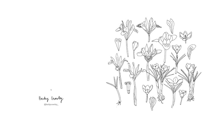 Fleurs - Zoé de Las Cases