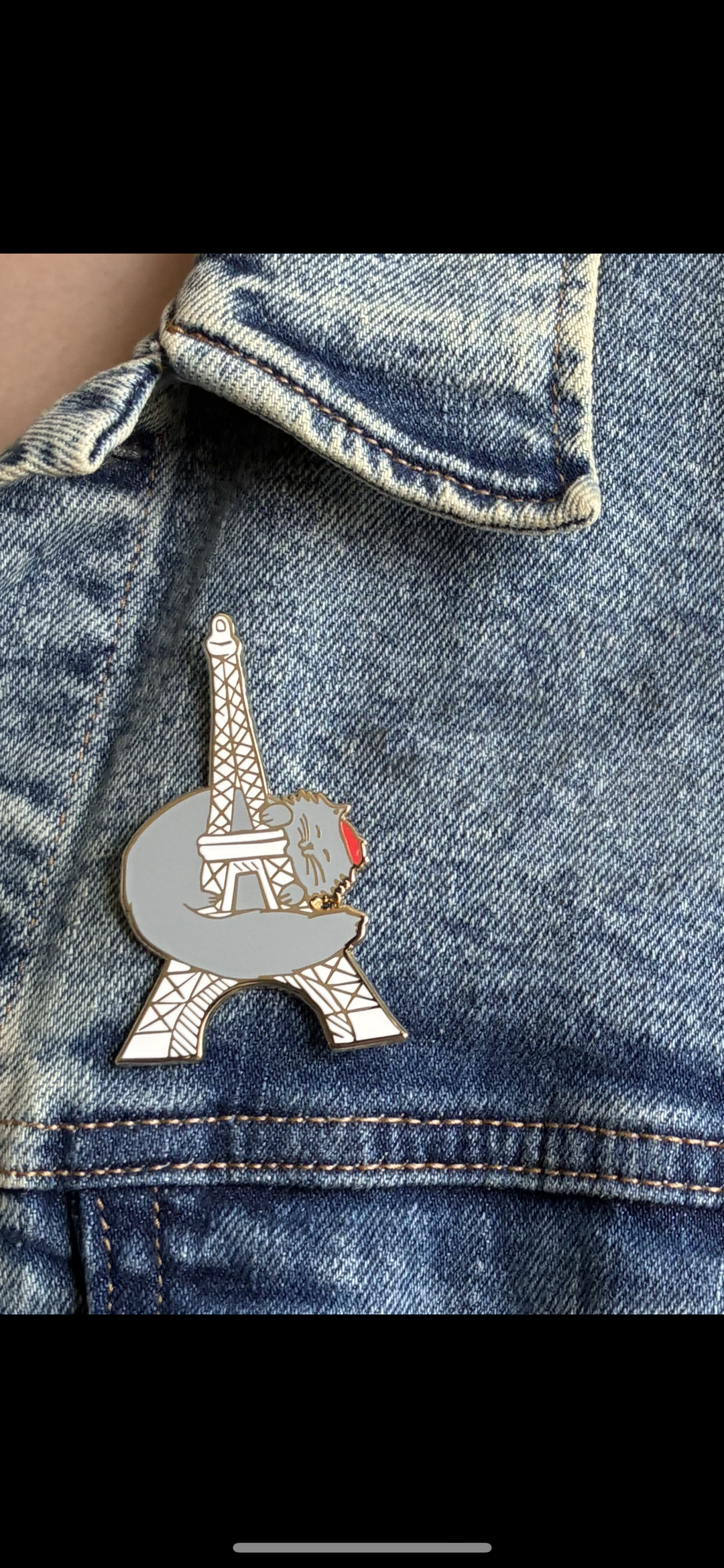 Pin's - Cat in Paris - Tour Eiffel