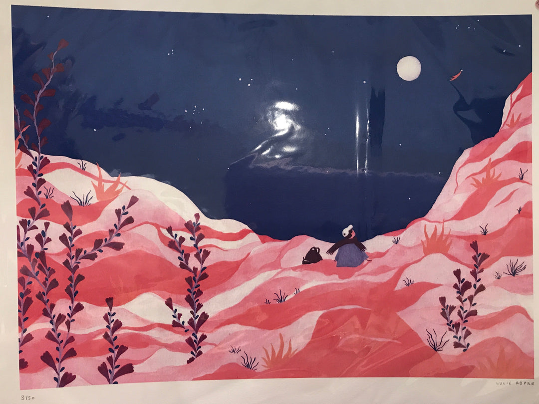 Affiche illustrée "Etoile filante” - Lucie Röpke