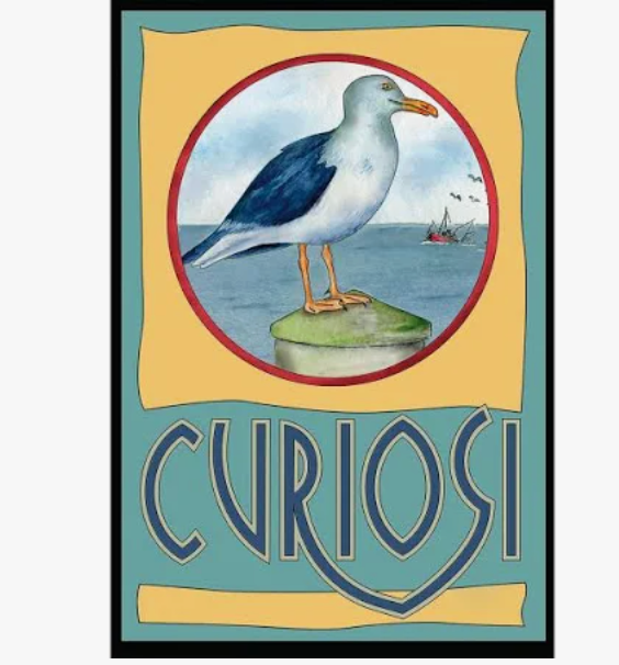 Curiosi Puzzle Picoli, au format boîte d'allumettes avec 33 pièces