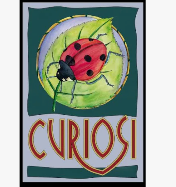 Curiosi Puzzle Picoli, au format boîte d'allumettes avec 33 pièces