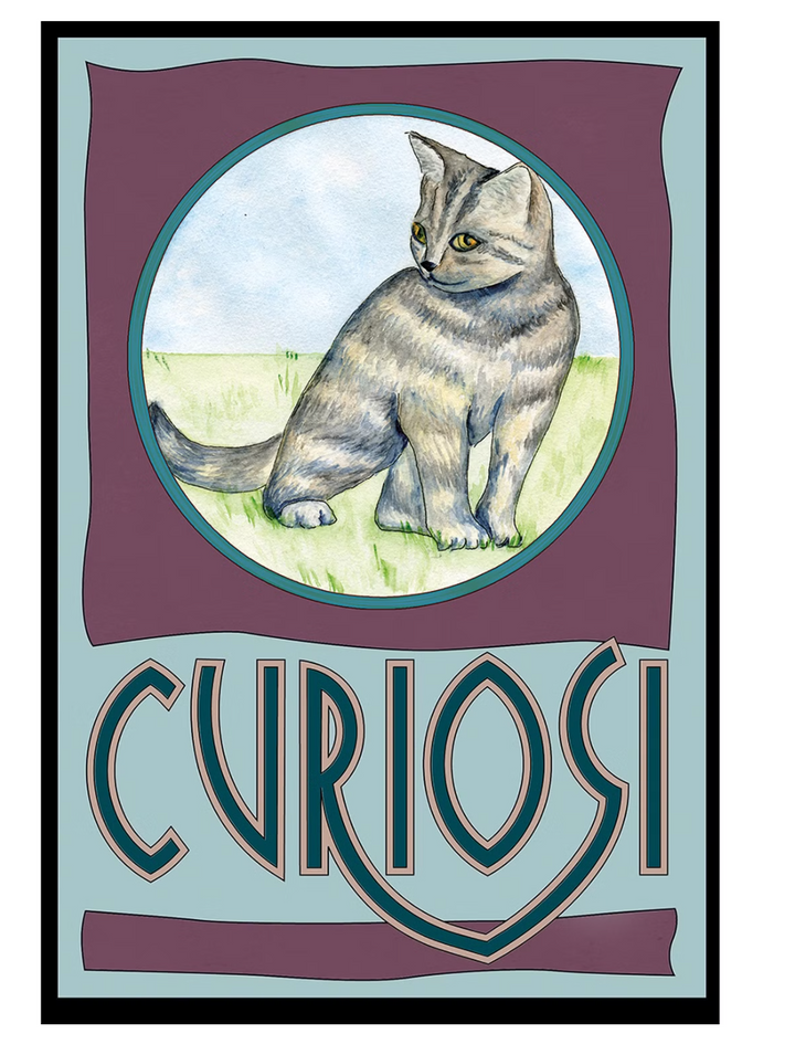 Curiosi Puzzle Picoli, au format boîte d'allumettes avec 33 pièces