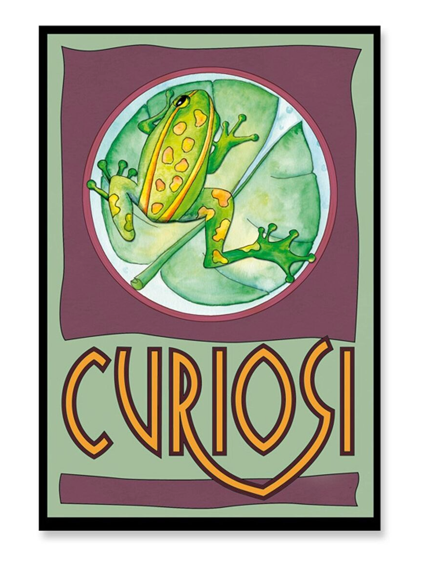 Curiosi Puzzle Picoli, au format boîte d'allumettes avec 33 pièces