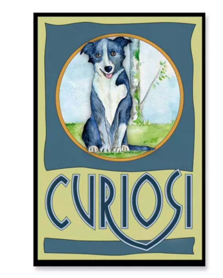 Curiosi Puzzle Picoli, au format boîte d'allumettes avec 33 pièces