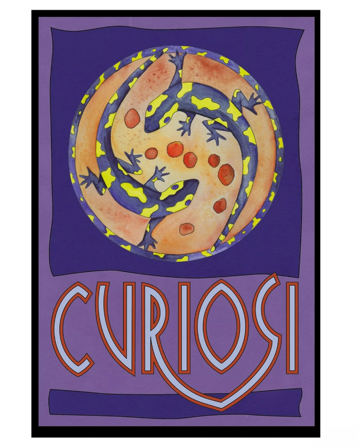 Curiosi Puzzle Picoli, au format boîte d'allumettes avec 33 pièces