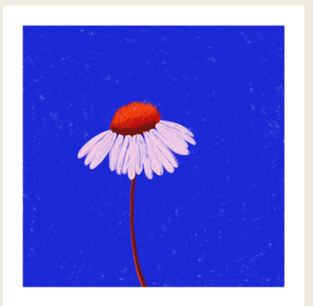 Affiches 20*20- Pauline Féménia