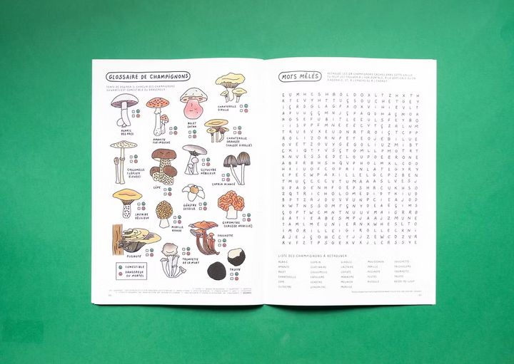 Cahier de vacances pour les grands - Studio 1 + 1