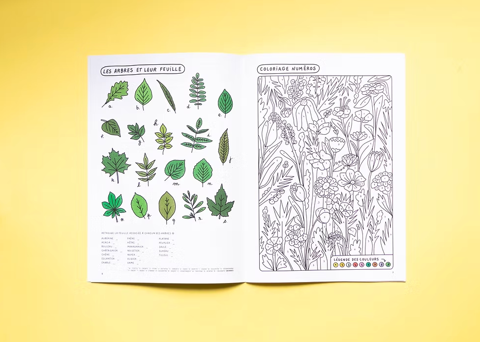 Cahier de vacances pour les grands - Studio 1 + 1