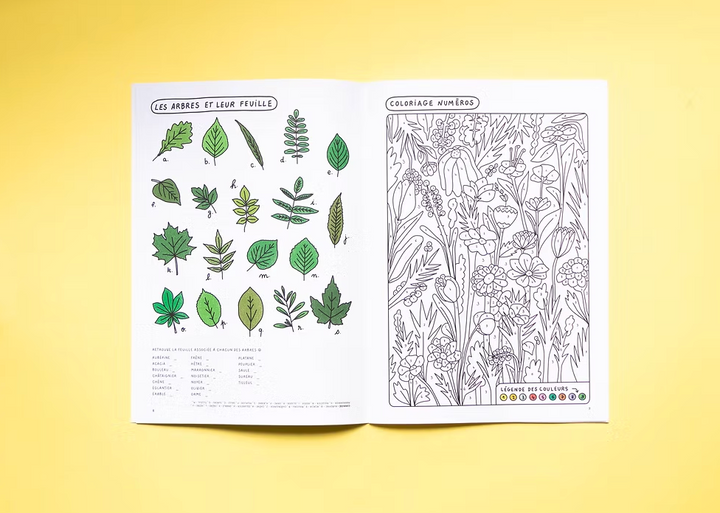 Cahier de vacances pour les grands - Studio 1 + 1