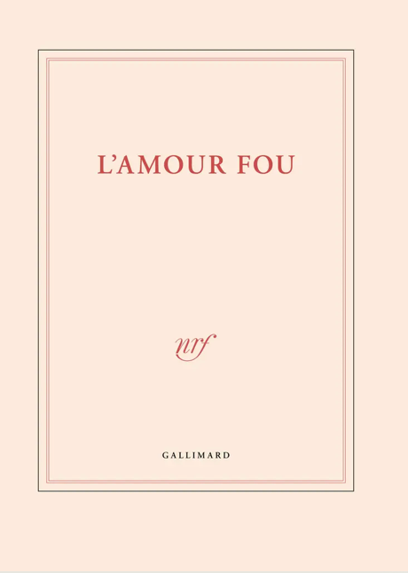 Très grand carnet - Gallimard