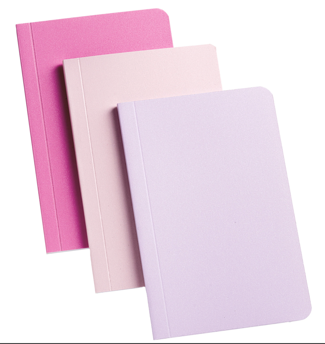 Lot de 3 Bullet Journals   – Bruynzeel