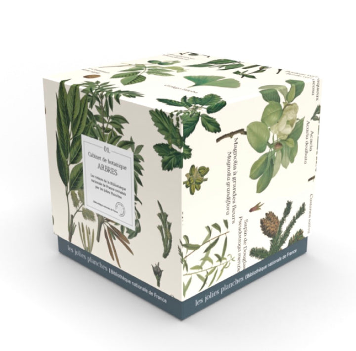 Puzzle botanique arbres