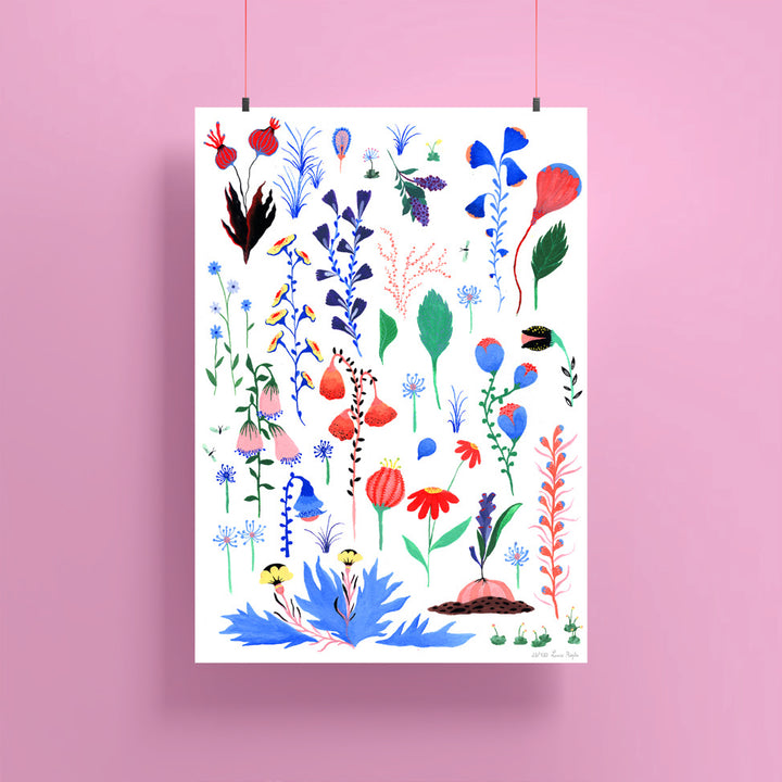 Affiche illustrée "Herbier de fleurs” - Lucie Röpke