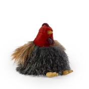 Poule tout autour du monde