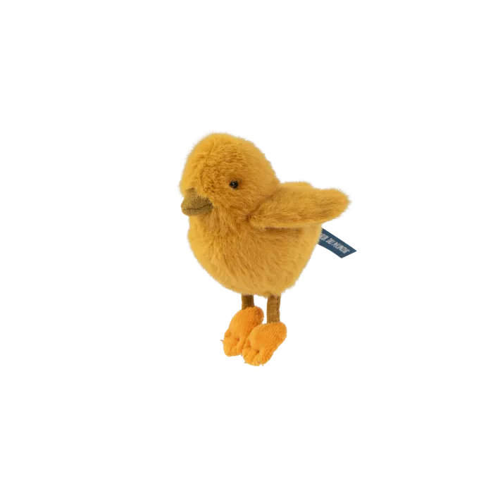 Poussin tout autour du monde - Moulin Roty