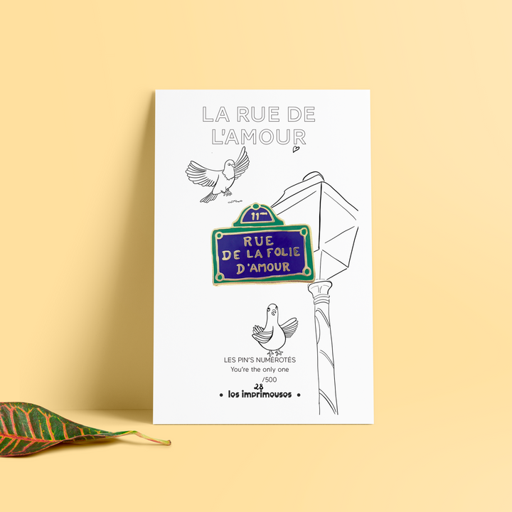 Pin's - Plaque de rue - st Valentin